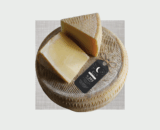 FORMAGGIO LATTERIA BIO 2 MESI ZOFF